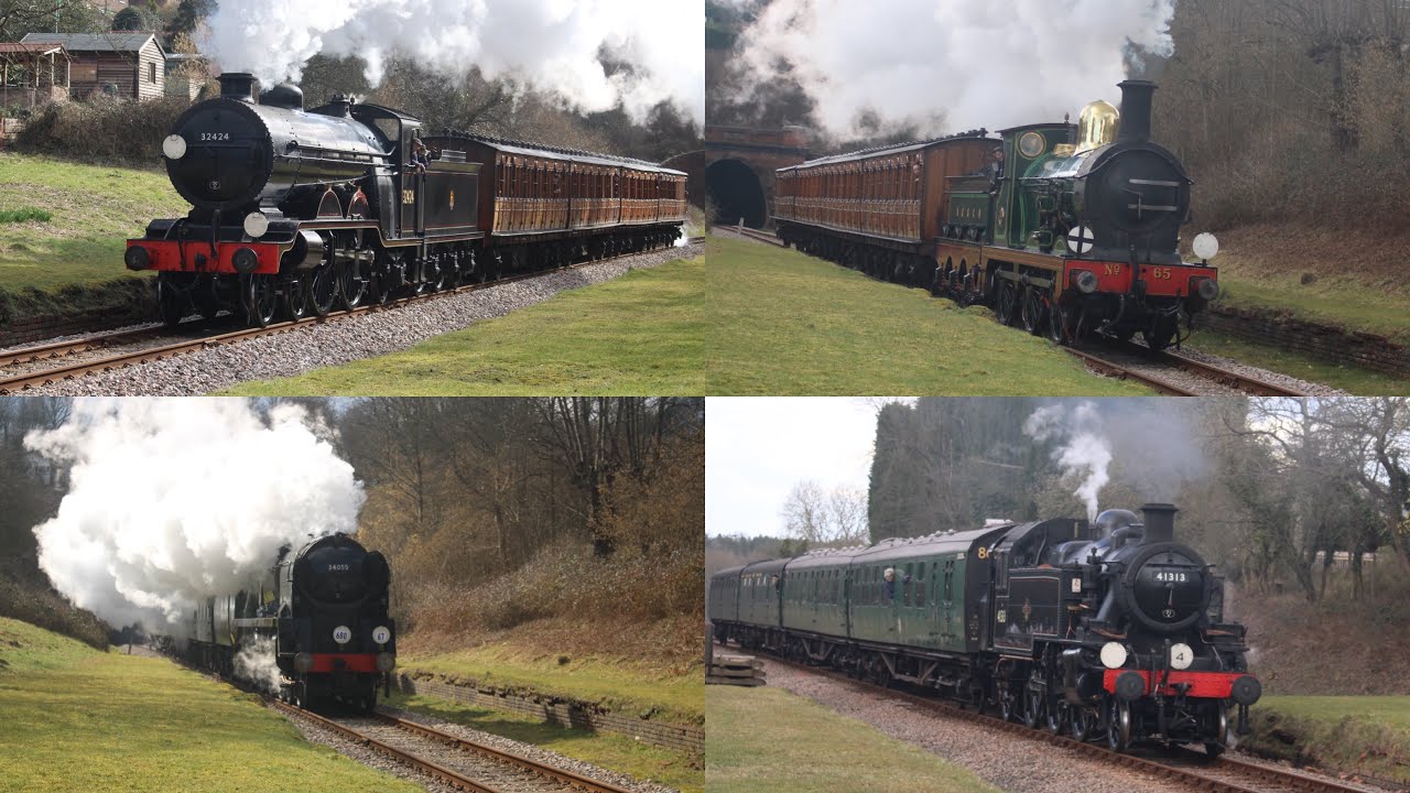 From The Adur To The Wey Remembering 60 Years On At The Bluebell railway branch line gala 14/03/2025