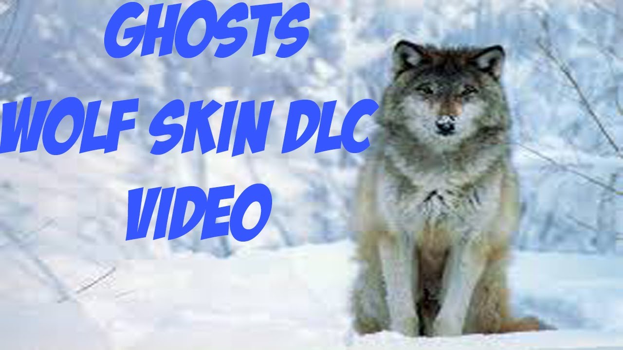 Call of Duty: Ghosts *NEW* Wolf Killstreak - How to Get WOLF Killstreak in Ghosts Multiplayer