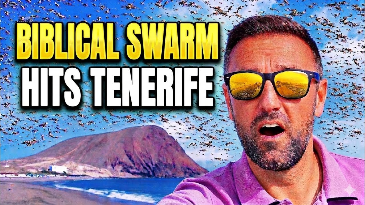 Locust ‘Plague’ Swarms Spotted in Tenerife