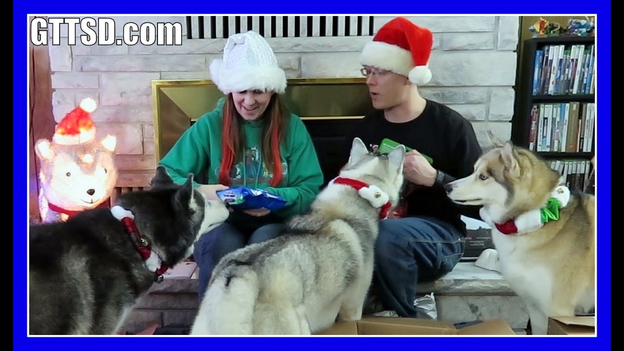 MERRY CHRISTMAS | CHRISTMAS GIFT MAIL VLOG