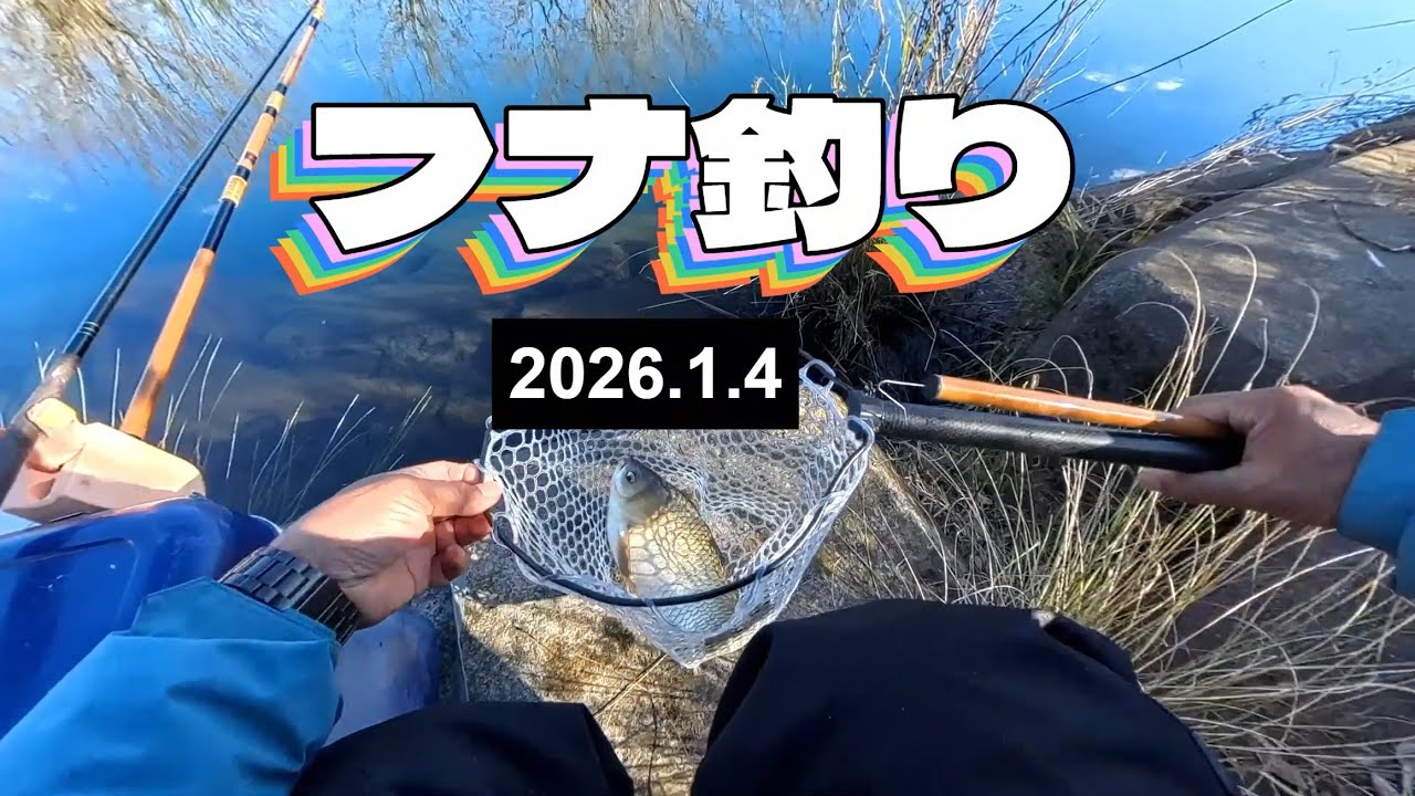 フナ釣り 2026年1月4日