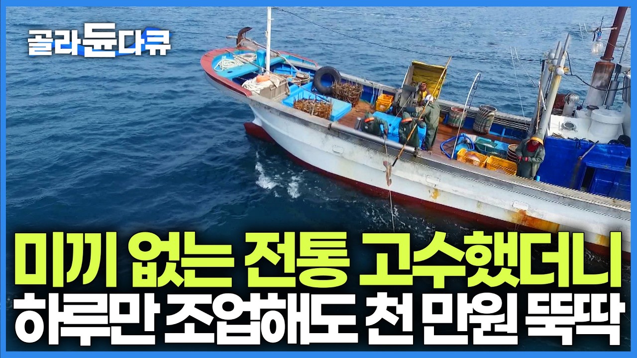 하루만 조업해도 천 만원 뚝딱 번다. 미끼 없이 전통 방식 고수했더니 끌어올리는 족족 최상급｜흑산도 홍어 잡이｜한국기행｜#골라듄다큐