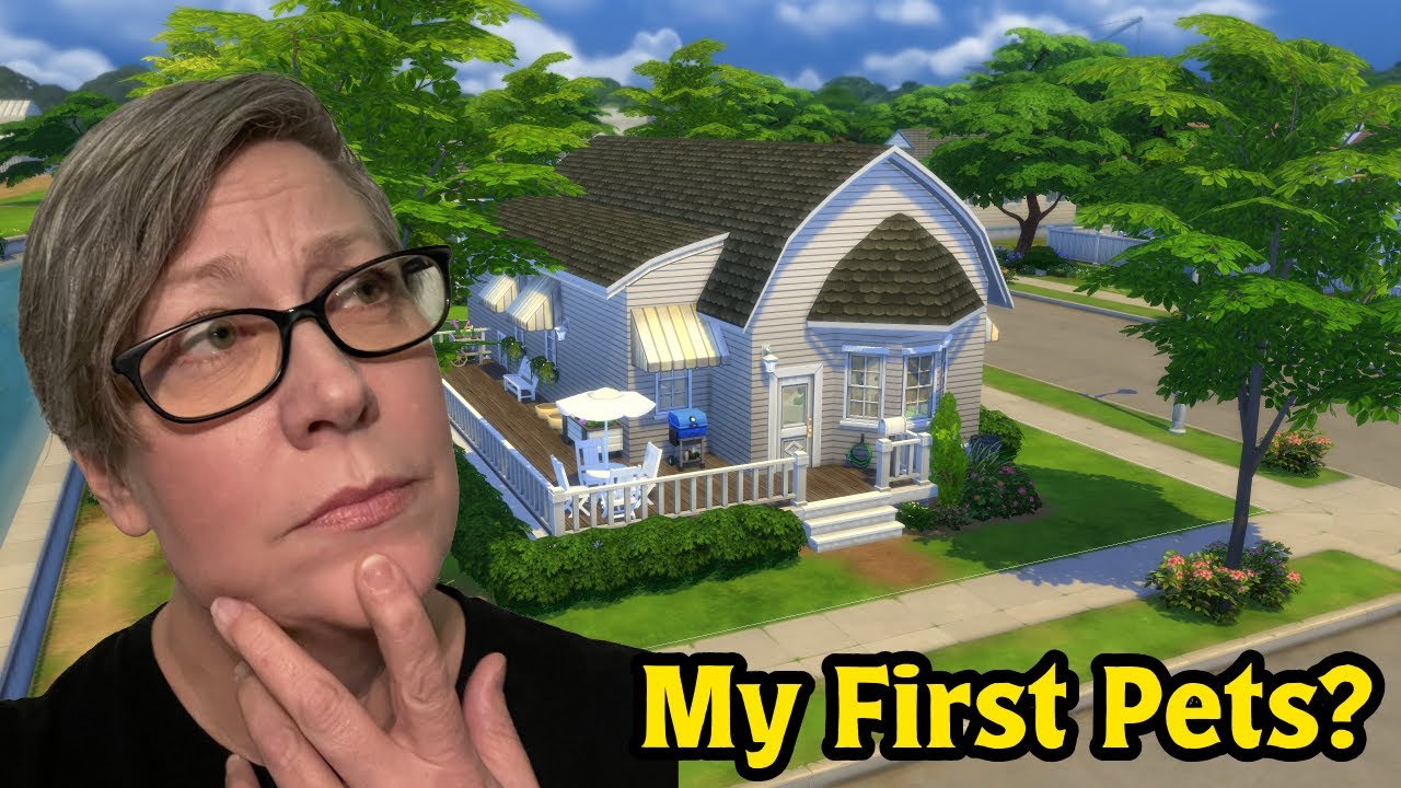 Can I build a house with My First Pets Stuff (+ base game)?!