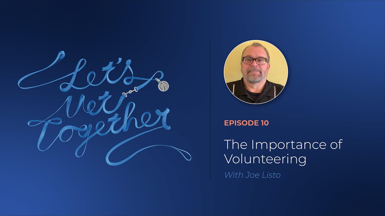 Let's Vet Together: The Importance of Volunteering