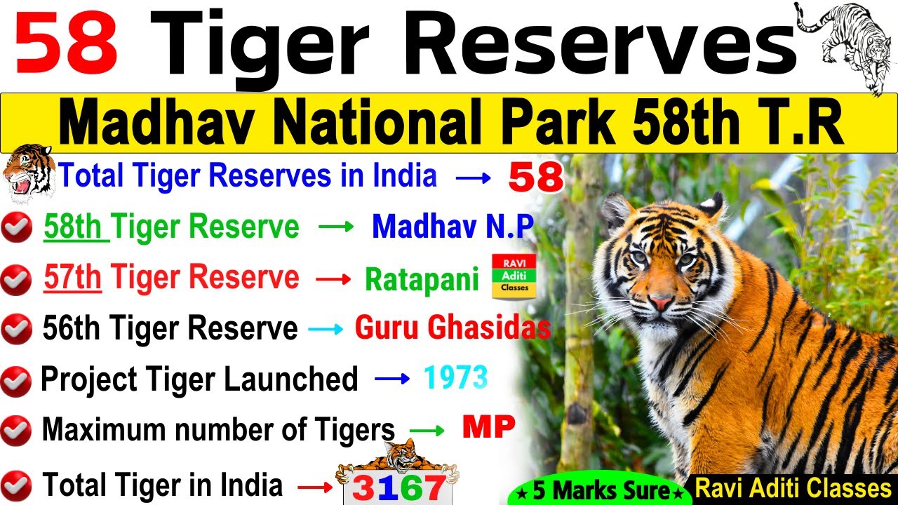 Tiger Reserves in India 2025 | 58 Tiger Reserves StateWise with Facts | Environment Current Affairs
