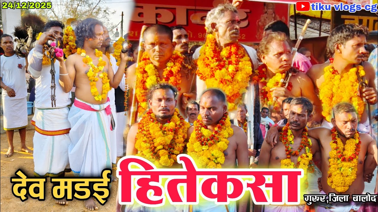 देव मड़ई हितेकसा 2025 | हितेकसा | करियाटोला | गुरूर | Hitekasa | Gurur | Balod | tiku vlogs cg 