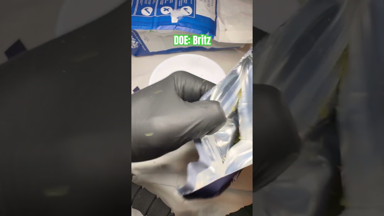DOE: Britz pack opening and weigh
