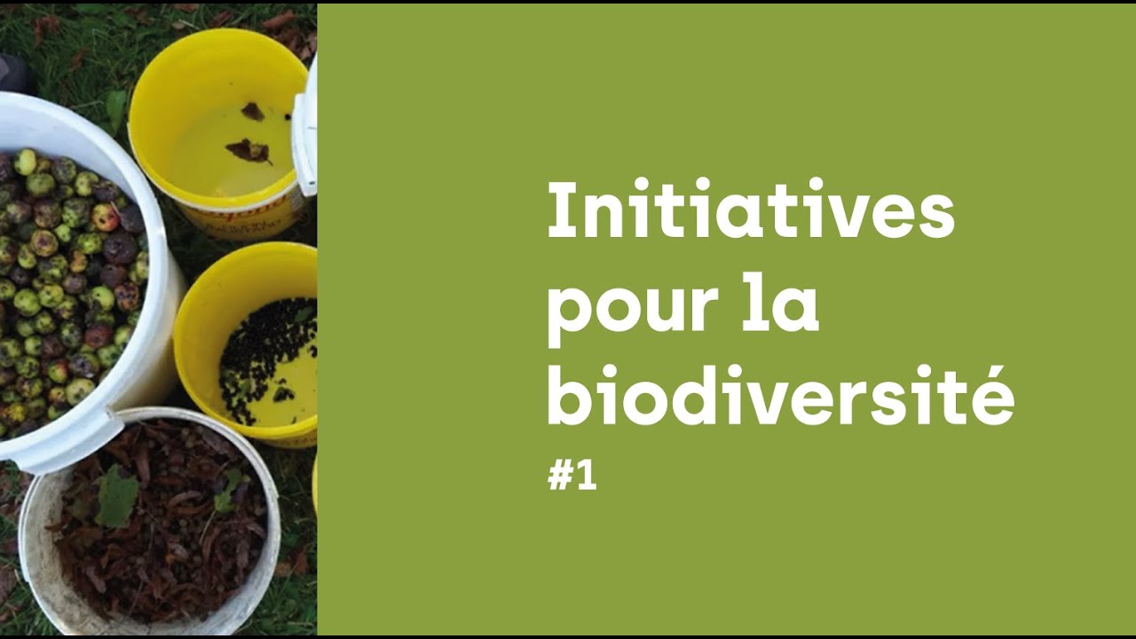 Les initiatives régionales pour la biodiversité - Végétal Local