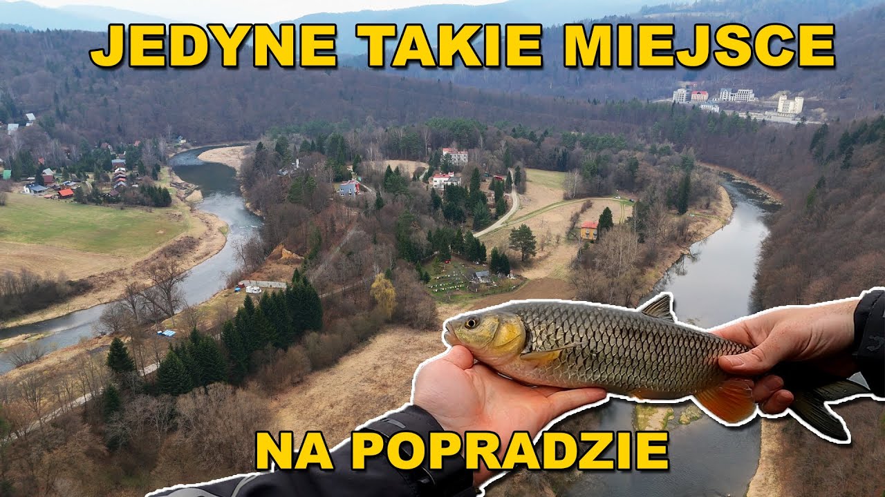 Magiczne Miejsce na Popradzie - Wiosenne Klenie na Spinning