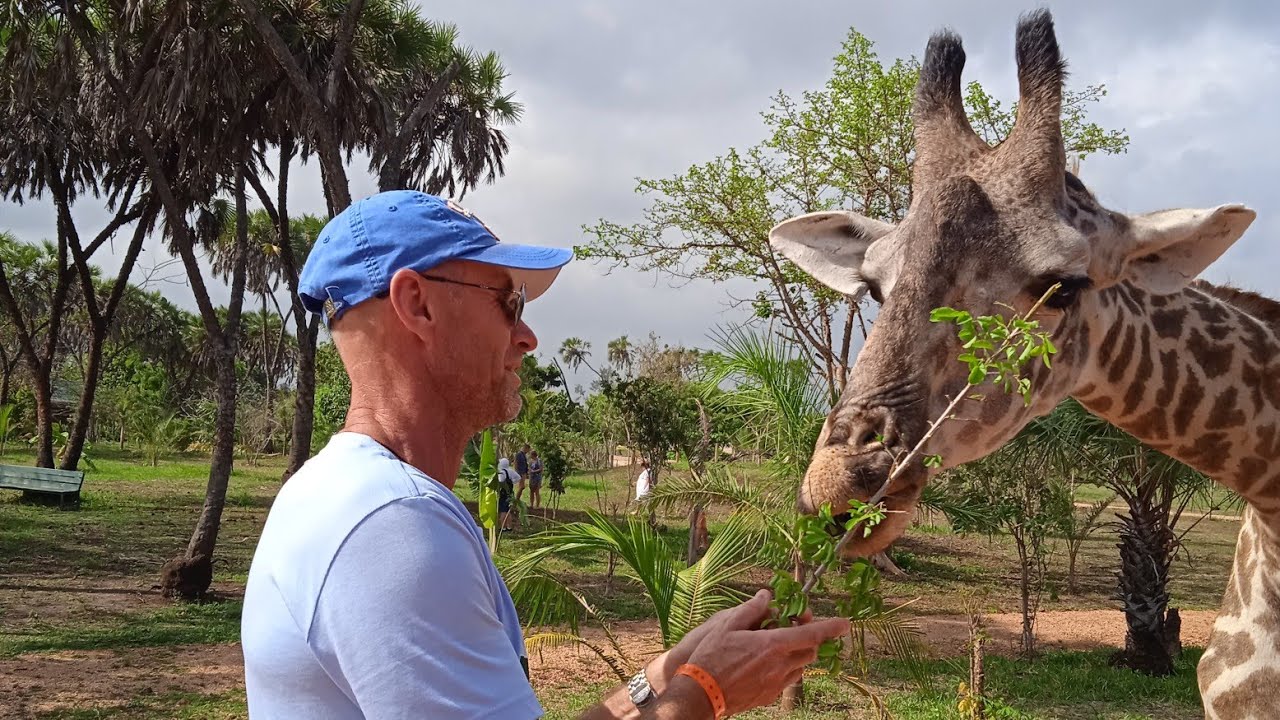 Kenya🇰🇪. Bora Bora Wildlife Park. Парк дикой природы.🦒🦓🐊🐗. Diani.