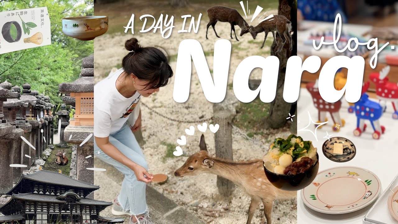 ENG)🇯🇵나라 노보텔 1박 vlog 🦌사슴공원, 도다이지, 기념품쇼핑, 로컬맛집, 전통찻집🍧🍵, 호류지 | 구글맵 공유🙆‍♀️