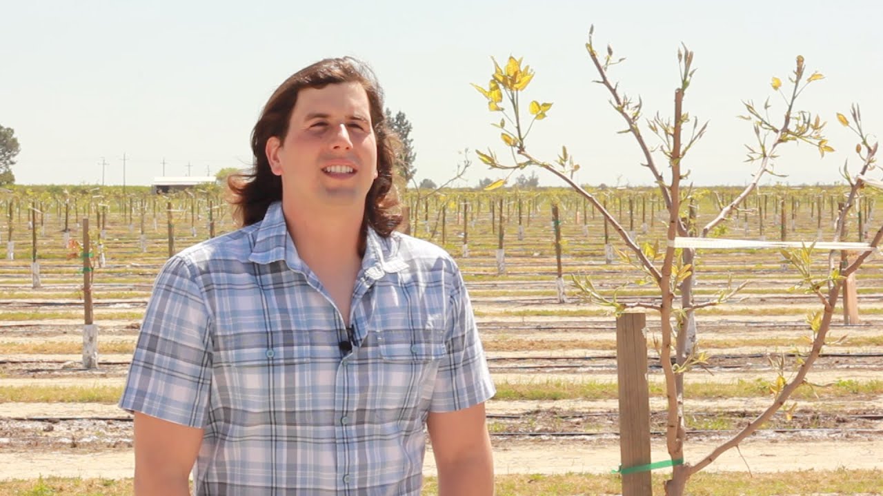 Growing Pistachios, Almonds with Precision Irrigation Management