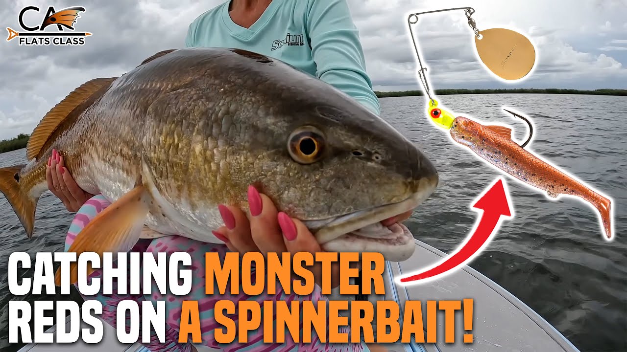 Catching Monster Reds On A Spinnerbait! | Flats Class YouTube