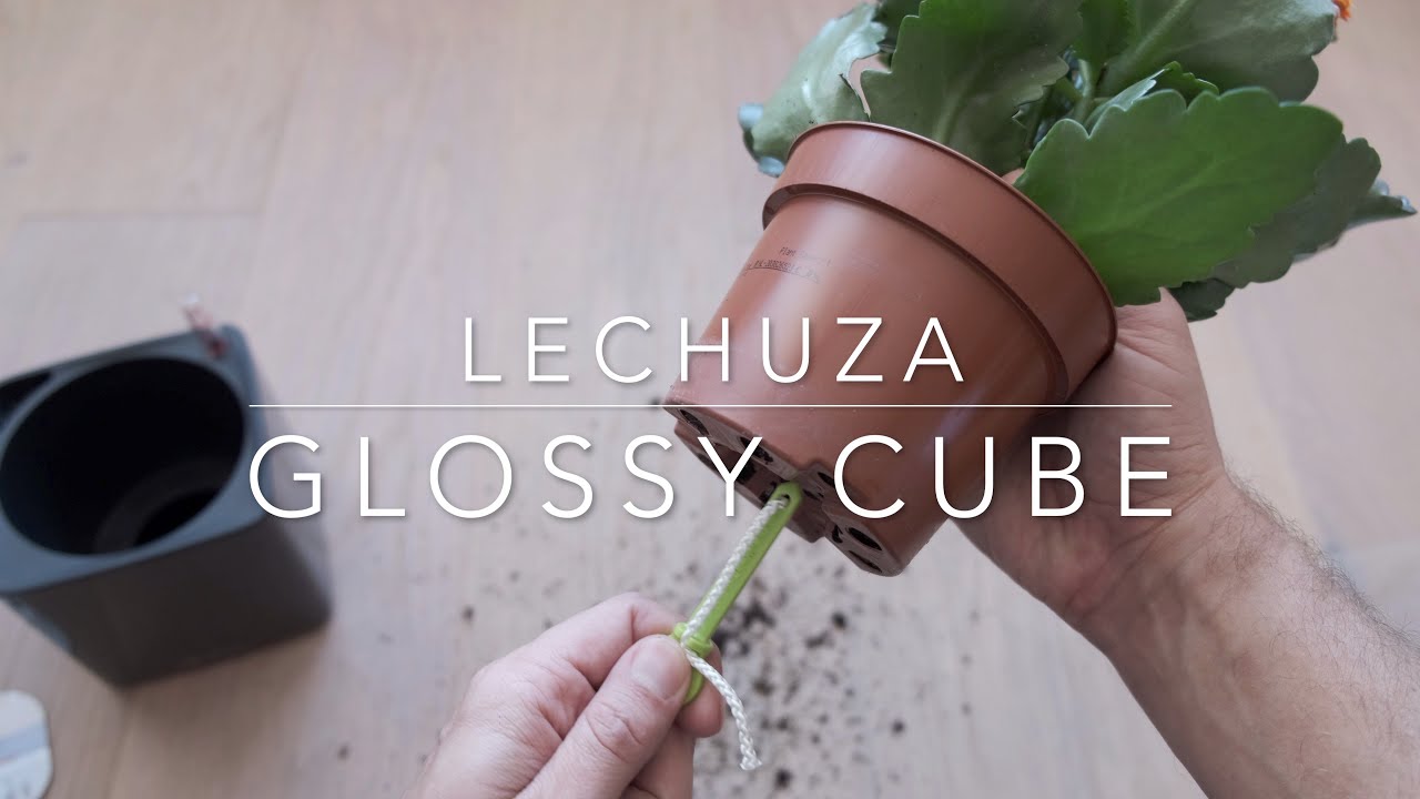 Lechuza self-watering Planter Glossy Cube
