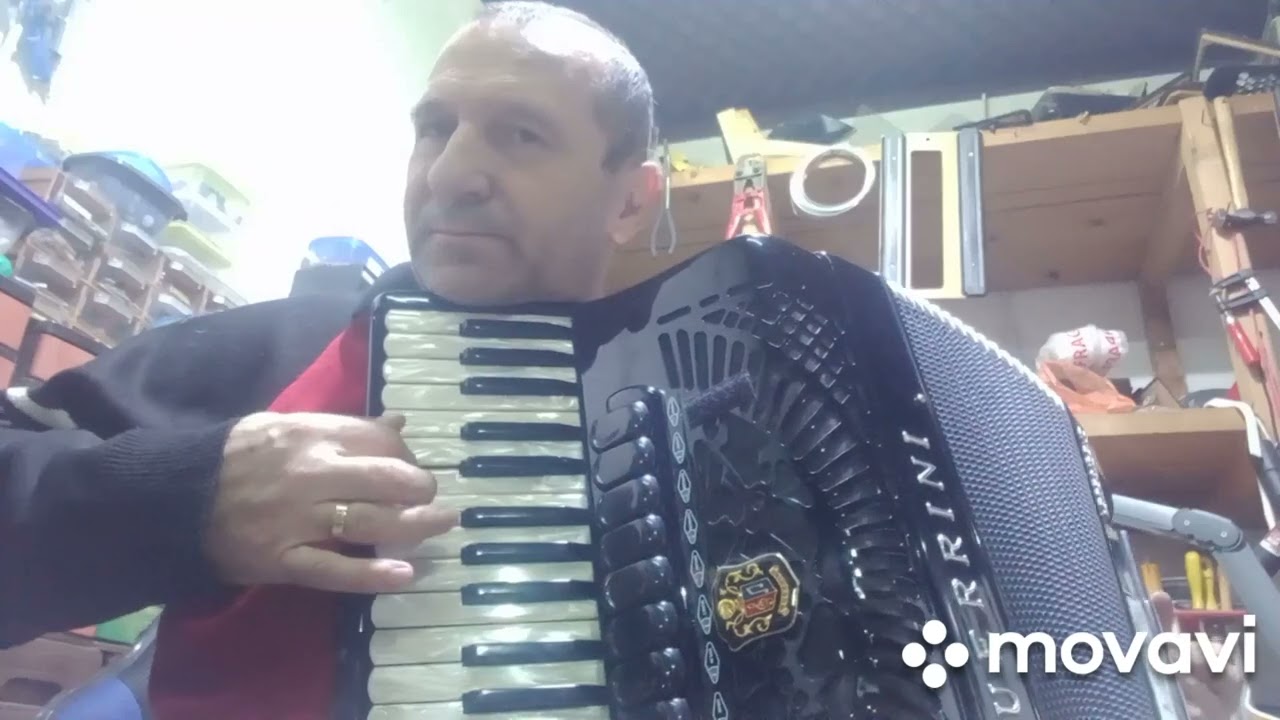 Servis harmonika Dane Loznica +38164 420 5721