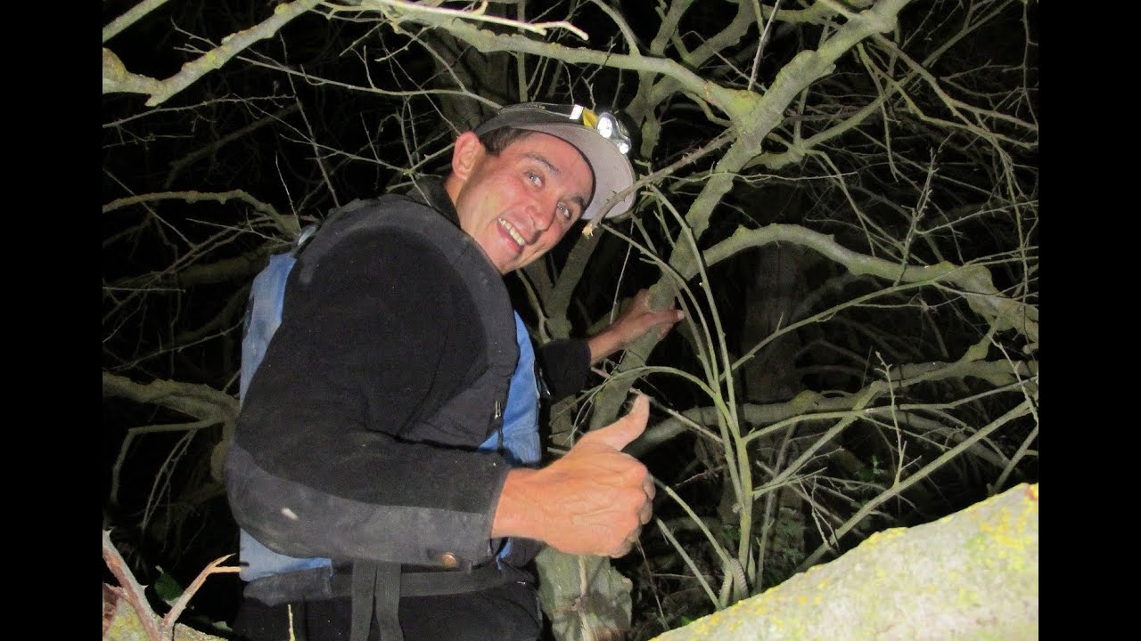 2014 FISHBIO Highlights of the Year