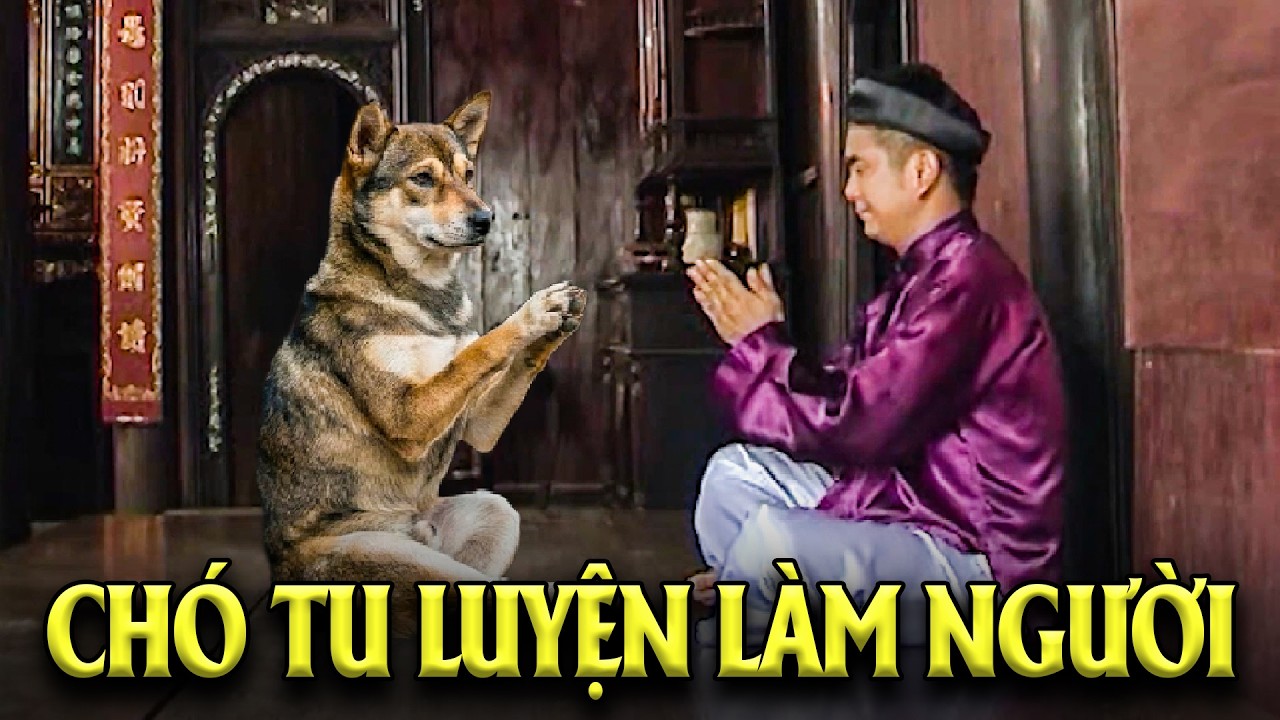 CHÓ TU LUYỆN LÀM NGƯỜI | PHIM CỔ TÍCH VIỆT NAM HAY NHẤT | CỔ TÍCH VIỆT NAM | GHIỀN CỔ TÍCH
