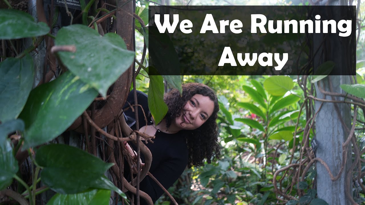 We are Running Away, Chasing Spring [Butterfly Conservatory]