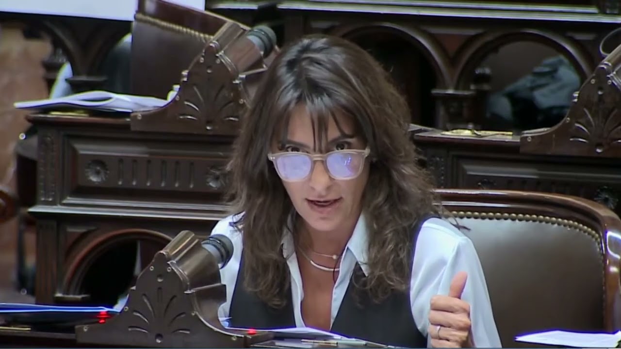 DEBATE SOBRE EL PROYECTO DE BAJA EN LA EDAD DE IMPUTABILIDAD