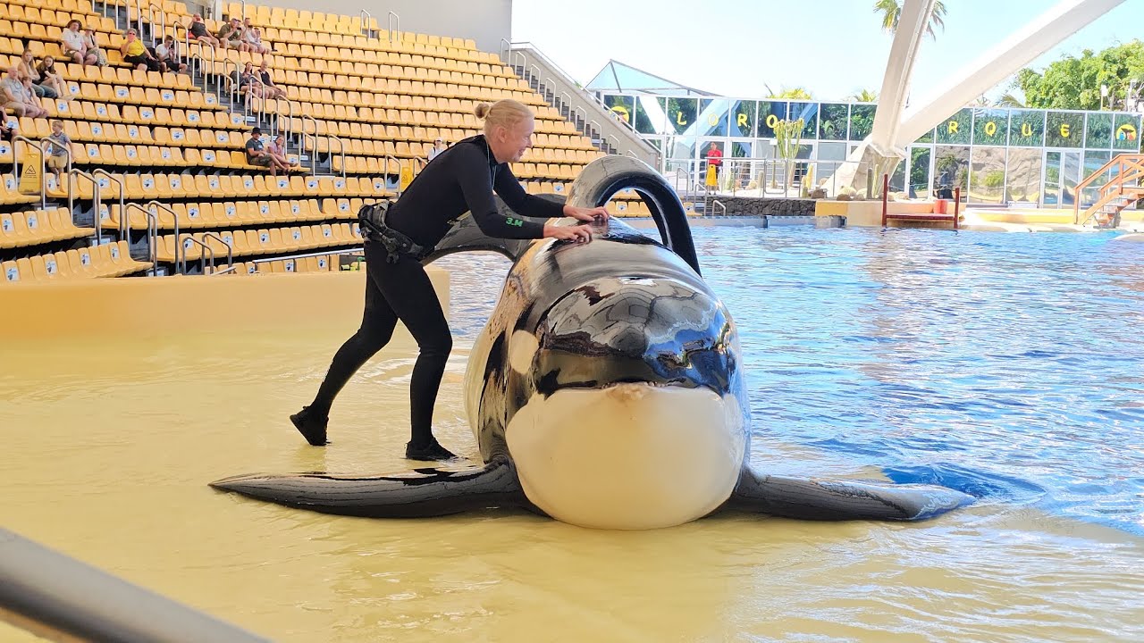 Keto & Renée 💖 02.04.2024, Loro Parque, OrcaOcean