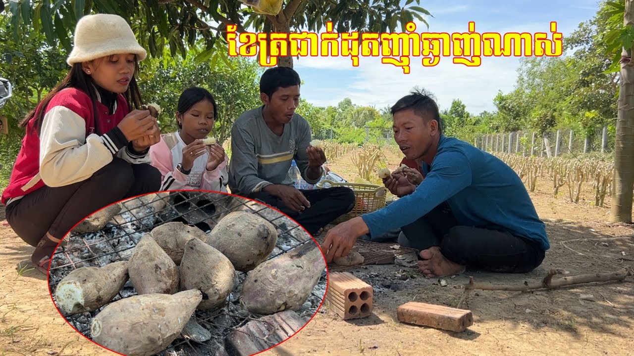 កុំភ្លេចដំឡូងអាំង ខែត្រជាក់ដុតញ៉ាំឆ្ងាញ់ណាស់