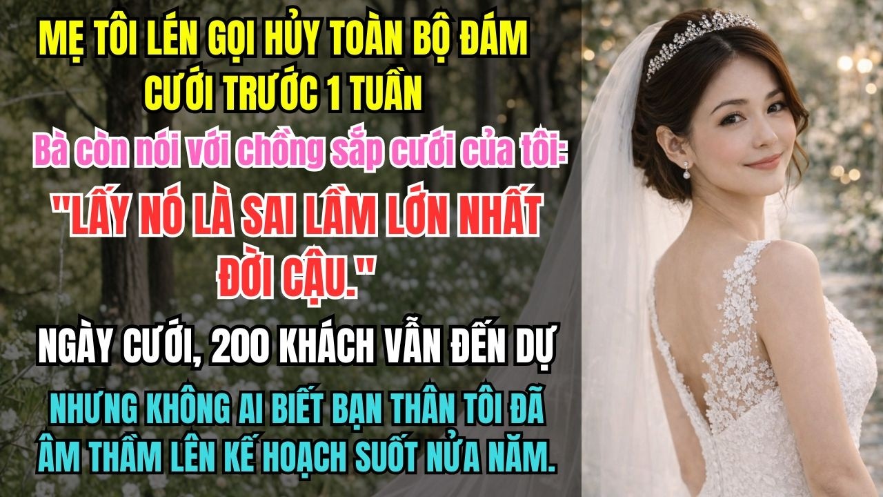 Mẹ Tôi Lén Hủy Đám Cưới Trước 1 Tuần Nhưng 200 Khách Vẫn Tới Nhờ Bạn Thân Đã Chuẩn Bị Nữa Năm