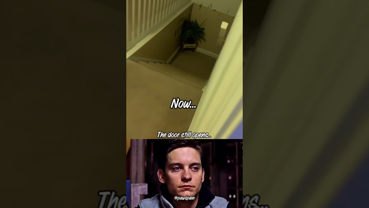 Now and Then: When the Door Opens 💔 Sad Cat Memories #cat #sad #emotional #shortvideo