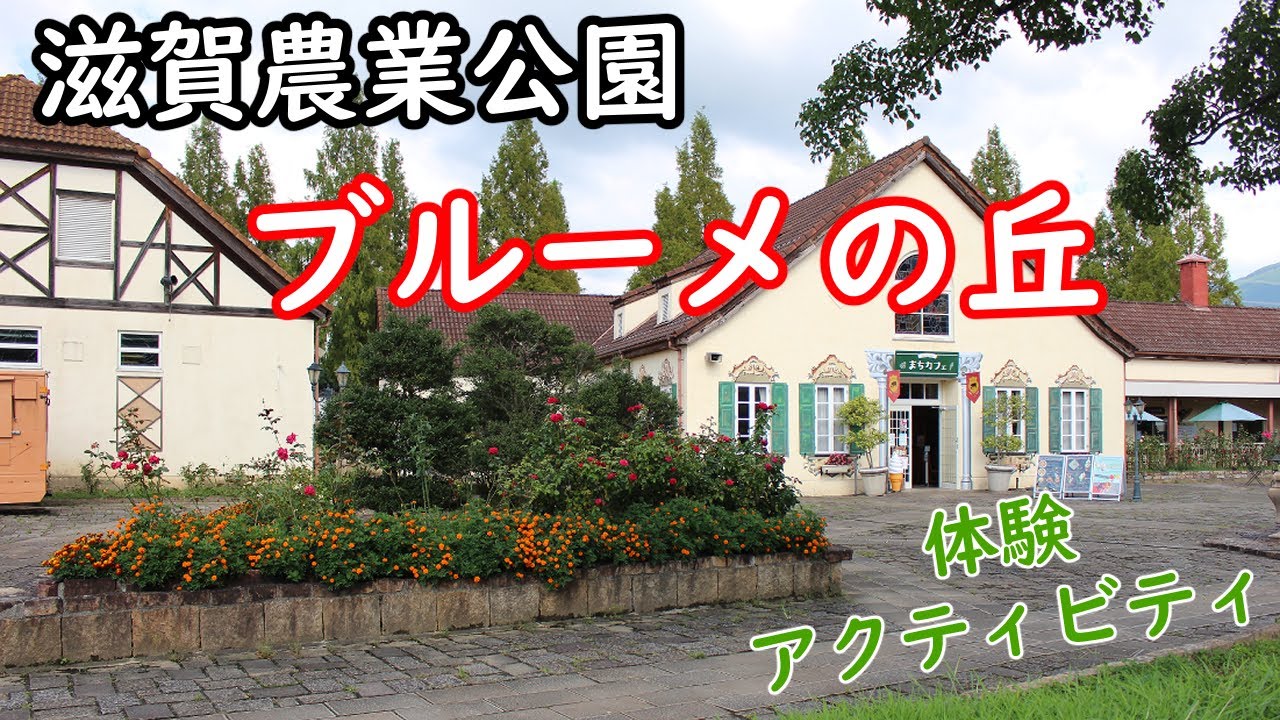 【ブルーメの丘】動物ふれあい・お花畑・アルプスジム!!アクティビティを満喫♪