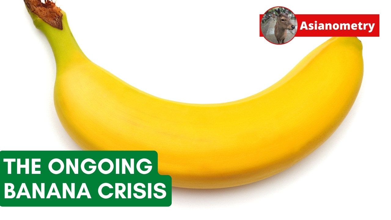 The War Against the Banana Killer