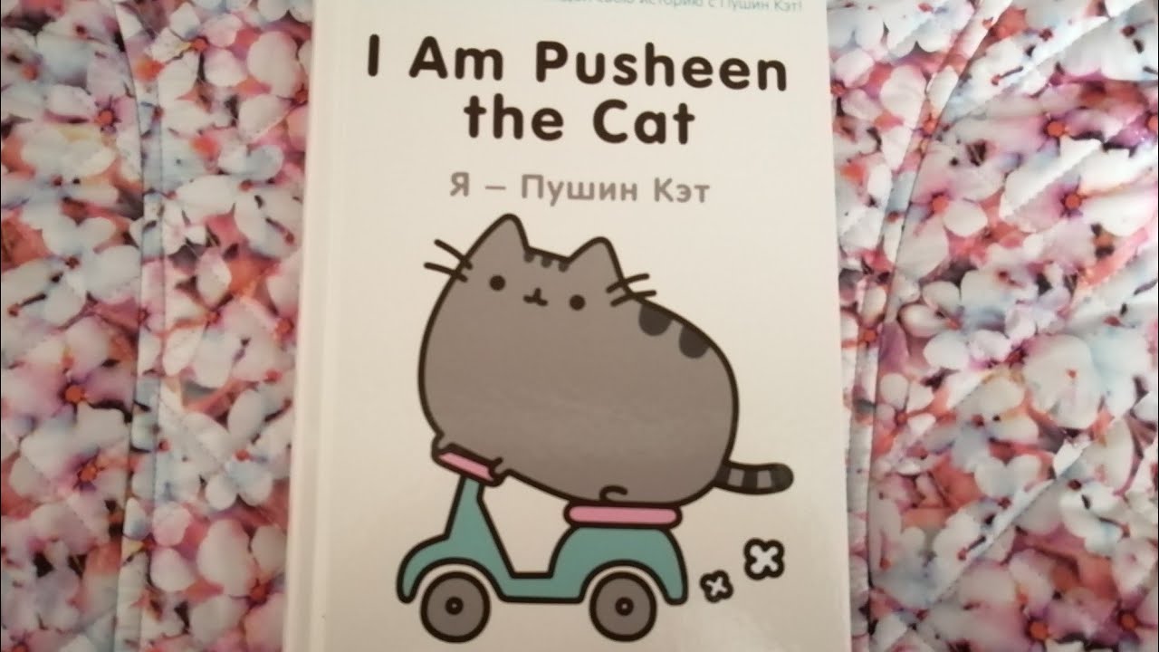 Обзор книги/я-пушин кэт/😻