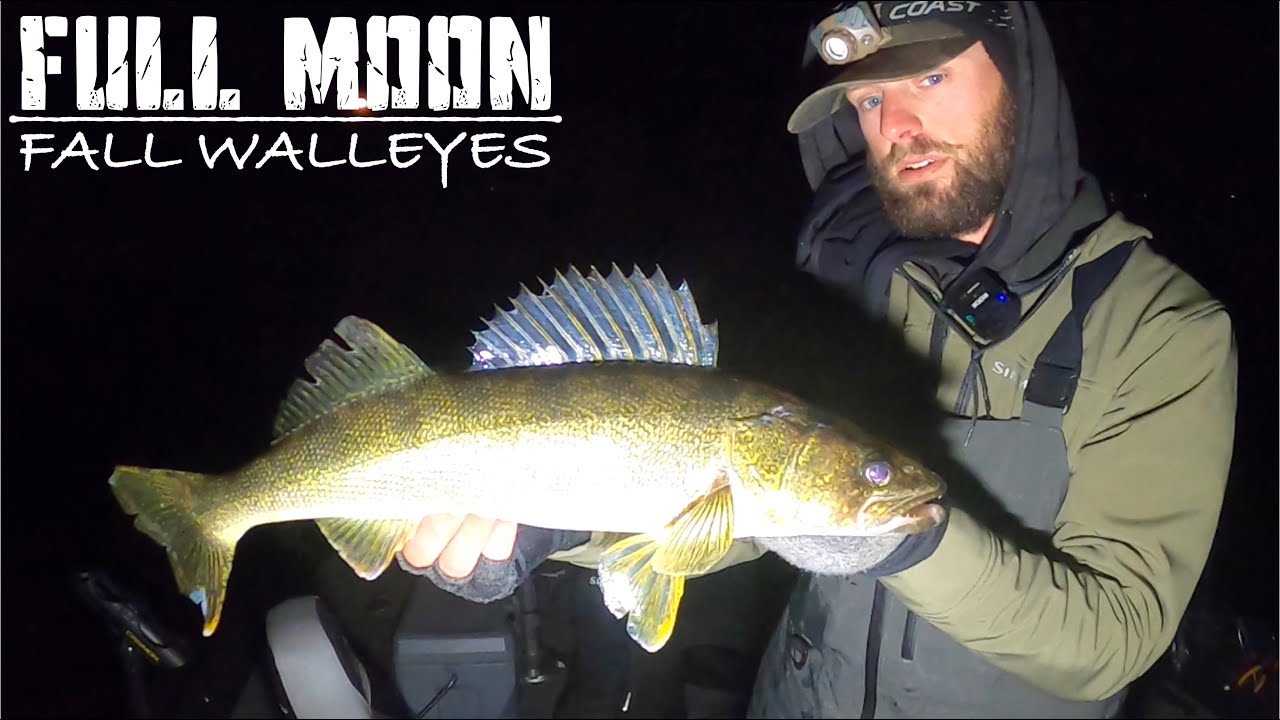 CRUSHING Full Moon FALL Walleyes at NIGHT!