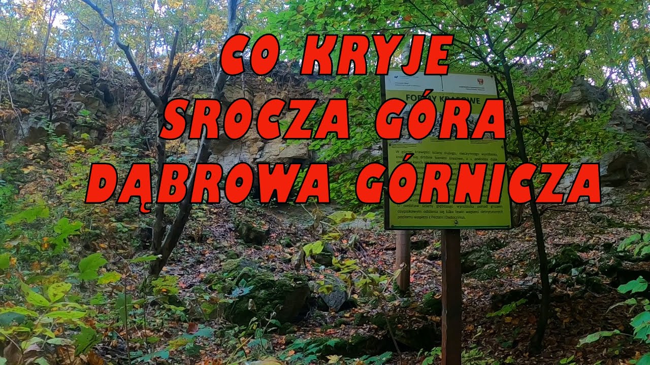 CO KRYJE SROCZA GÓRA W DĄBROWIWE GÓRNICZEJ