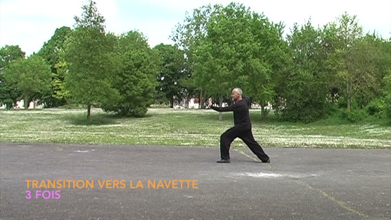Taichi : 3ème partie de la Forme Yang sous forme de séquences. Transmission Wang Weiguo.