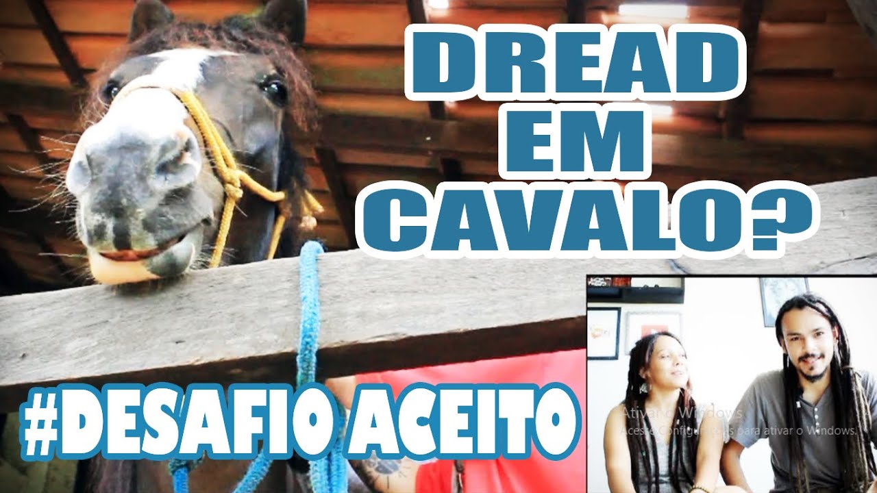 #Desafio -  Fazendo dreadlocks em um cavalo (locs horse)!!!