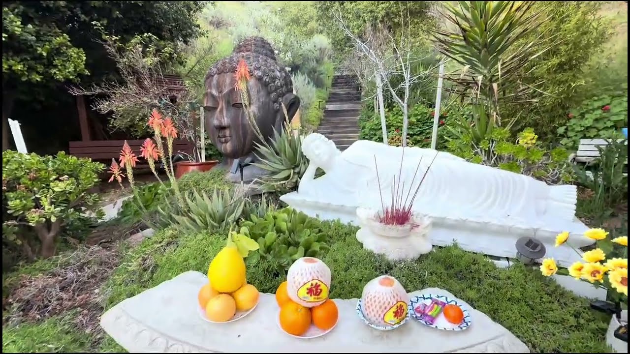 Thiên Long Sơn California|Khu vườn tượng Phật yên bình /A Peaceful Sacred Garden at Thiên Long Sơn 