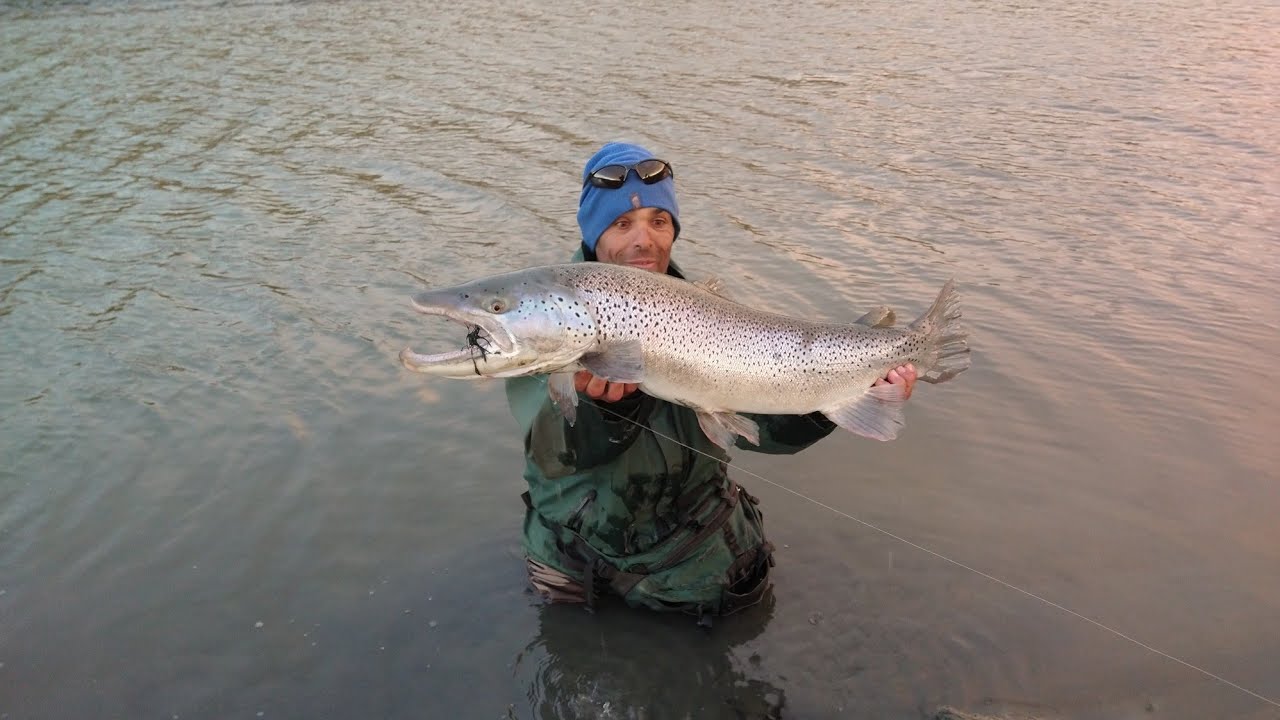 Rio Ewan pesca de truchas , con el guía Martín Maffioli