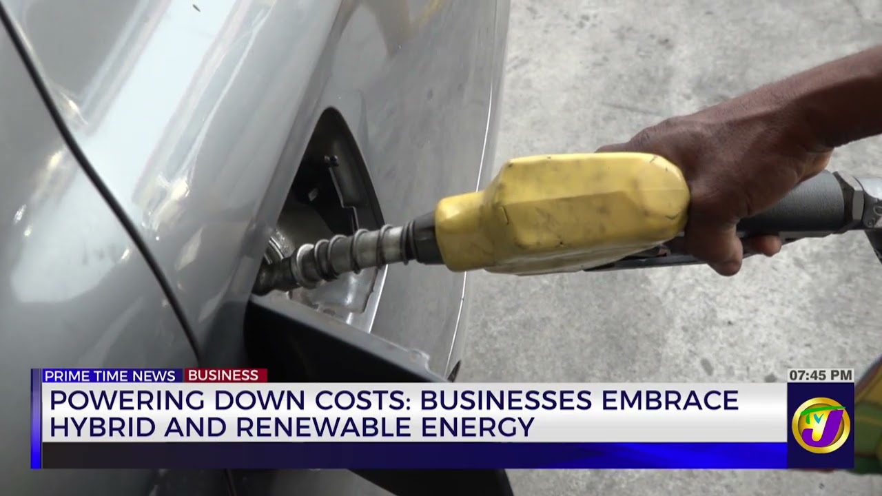 Powering Down Costs: Businesses Embrace Hybrid And Renewable Energy  | Business Day