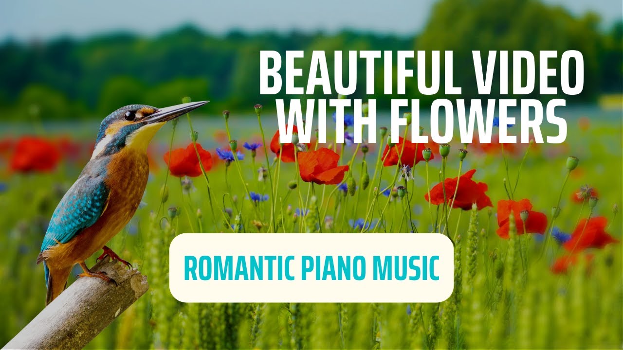 Свежие цветы. Расслабляющая музыка на пианино #relaxation #flowers #pianomusic #цветы #nicevideo