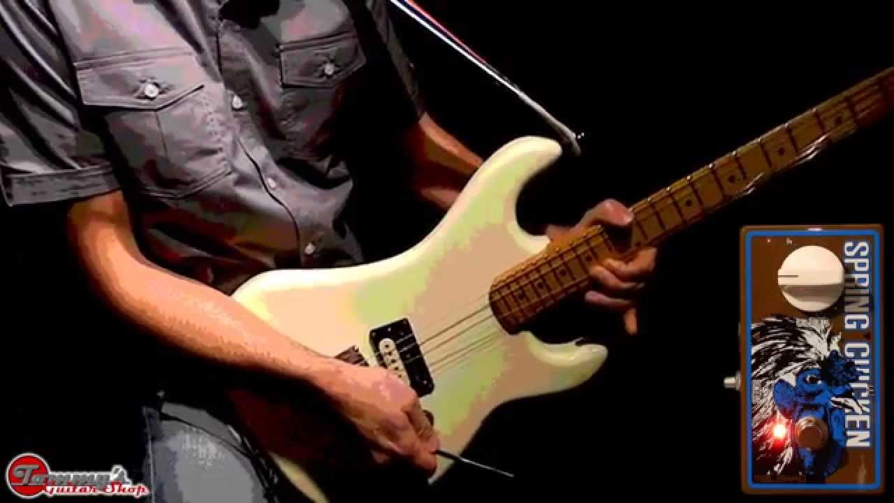 Malekko Spring Chicken Reverb full-production demo