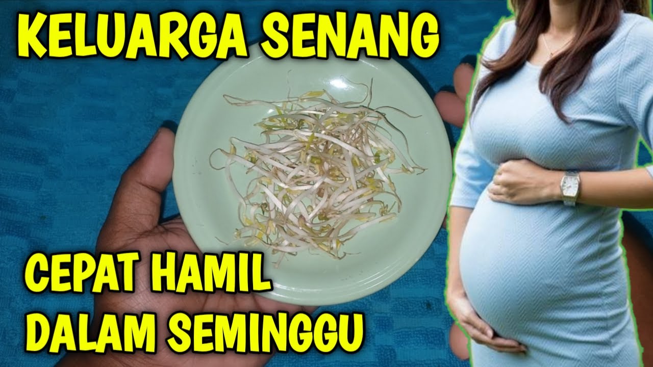 Keluarga senang! Cara cepat hamil dalam 1 minggu , Obat alami penyubur kandungan