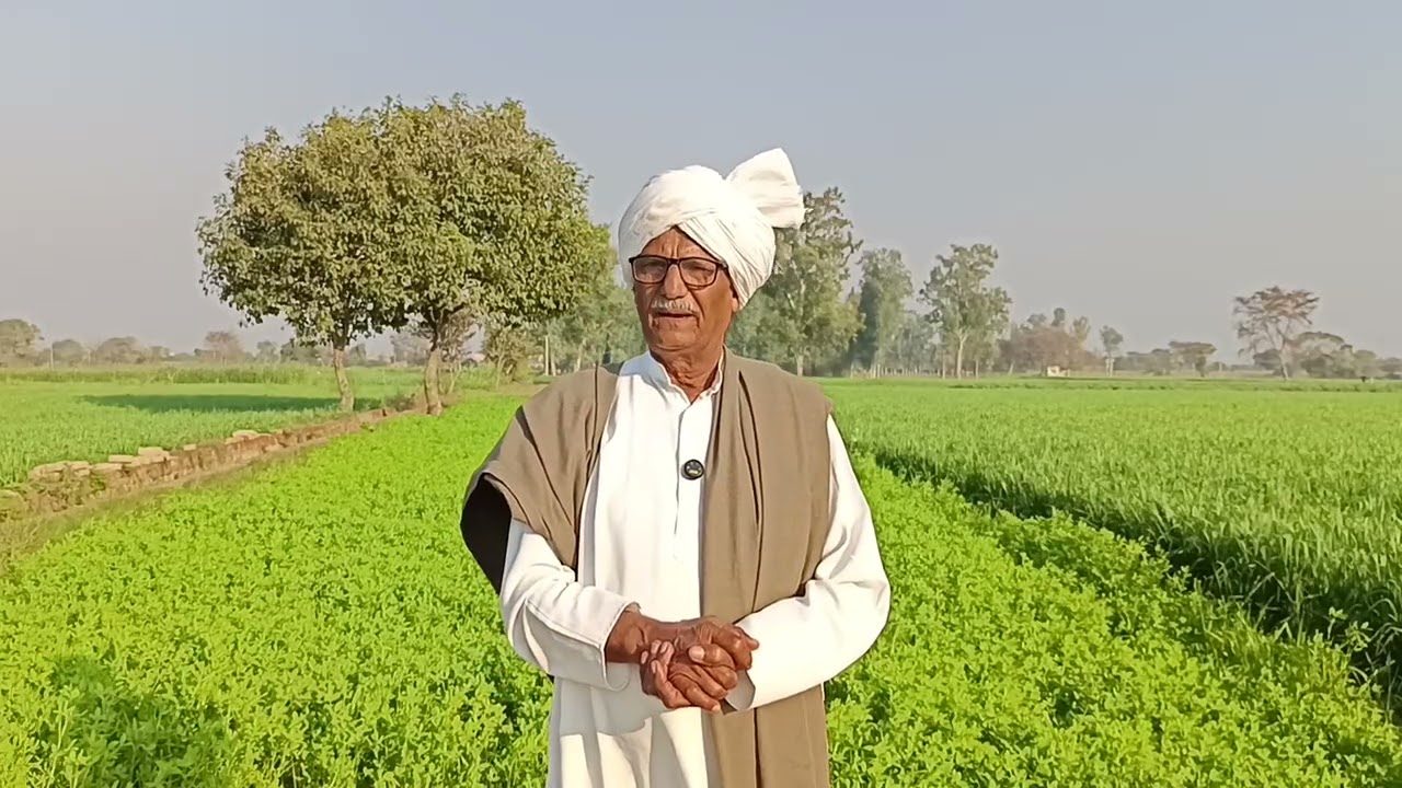 कलयुगी बेटों ने जायदाद के साथ साथ अपने माँ बाप का भी बंटवारा कर लिया फिर उनको उनके कुकर्मों का फल 