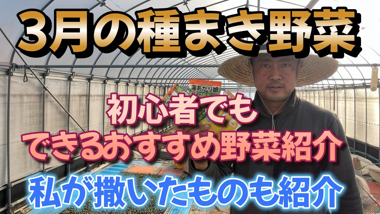 3月の種まき野菜　僕の初心者おすすめ野菜と　私が育てる予定の農作物