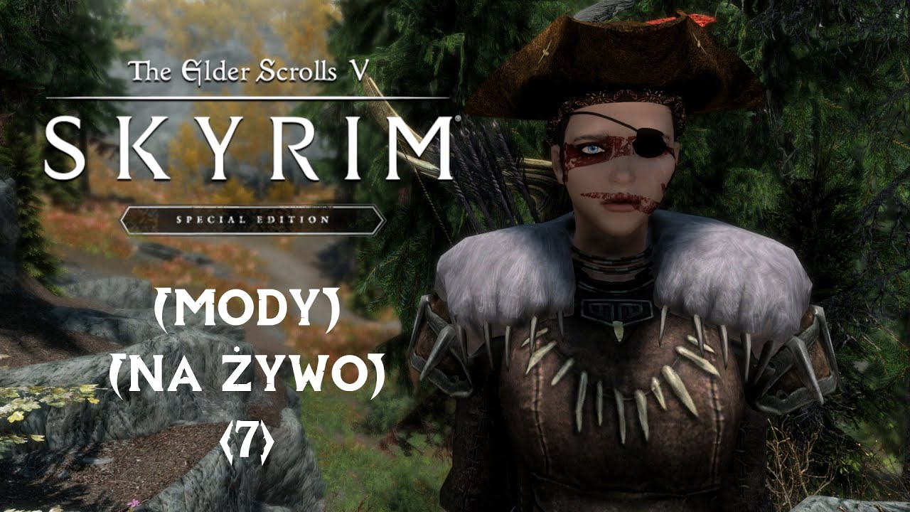 The Elder Scrolls V: Skyrim (Special Edition) (2016) (MODY) (PC) [#7]