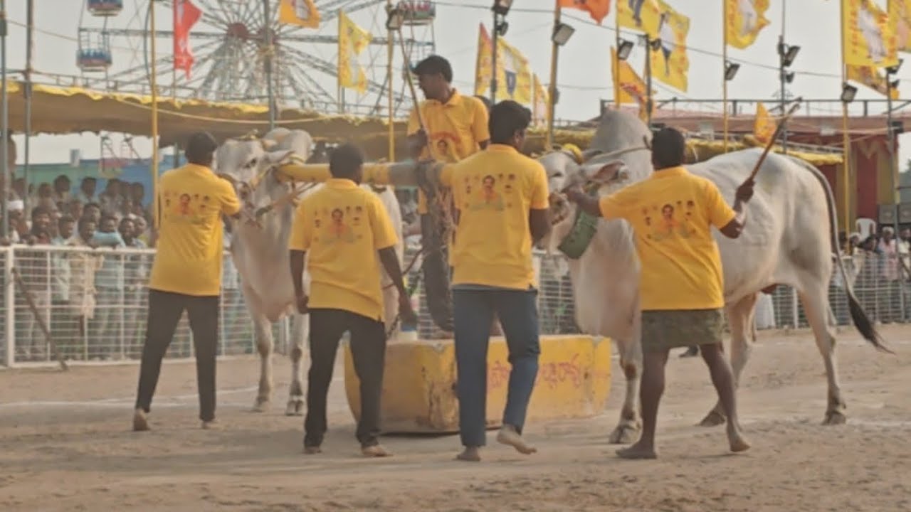 చిలకలూరిపేట జూనియర్ విభాగం 8వ జత