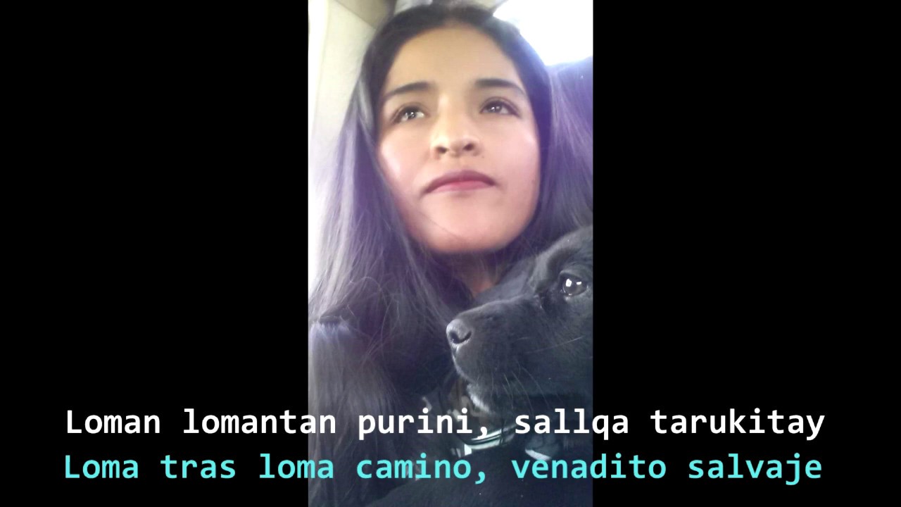 Sallqa tarukitay - Condemayta de Acomayo