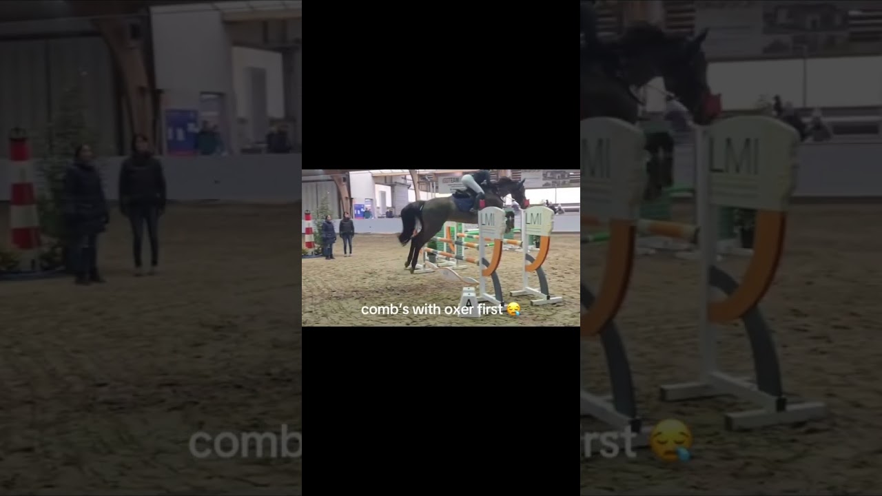 I love it! #follow #horse #pferdem #horses #equestrian #pferde #folgmir #pony #wildpferd