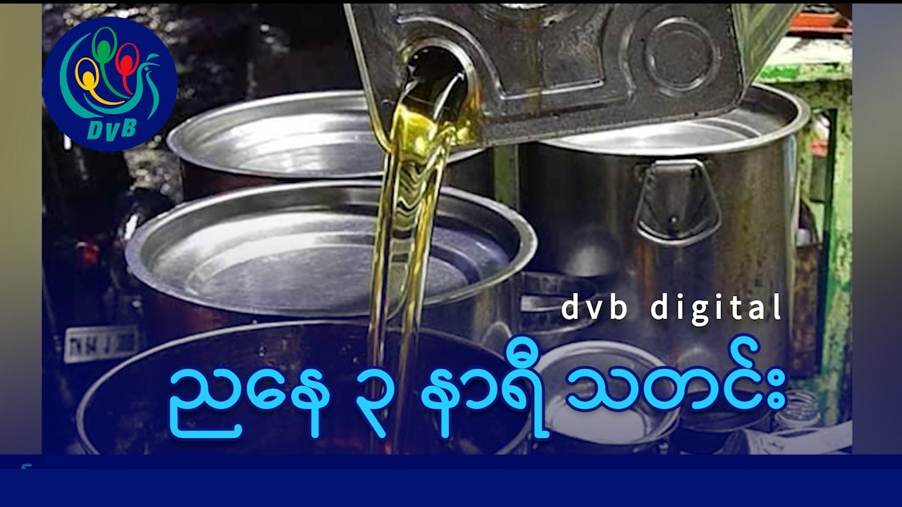 DVB Digital ညနေ ၃ နာရီ သတင်း (၁၄ ရက် ဖေဖော်ဝါရီလ ၂၀၂၆)