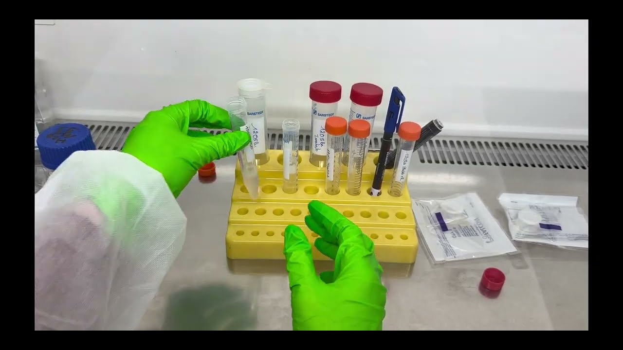 Protocol for the Mito S-1 plate, developed by Alliance Bio Expertise, for OmniLog experiments