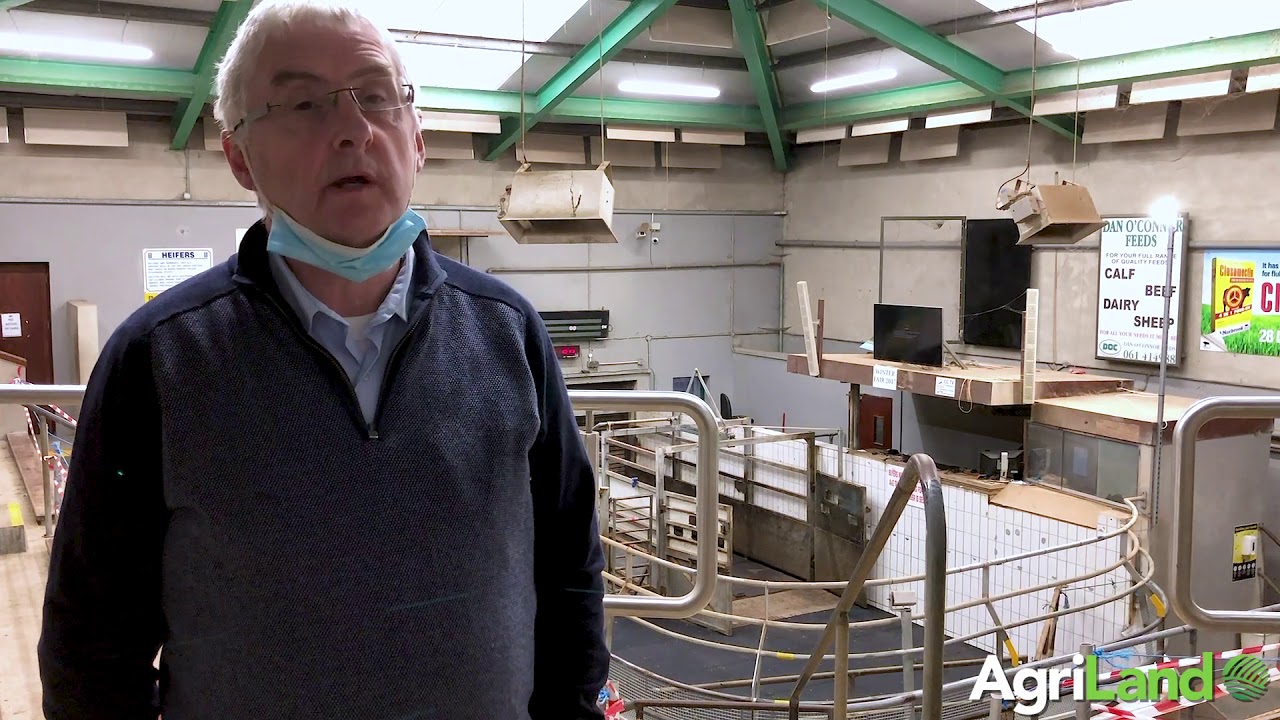 AgriLand speak to Martin McNamara, Ennis Mart's manager, after the conclusion of Monday's sheep sale