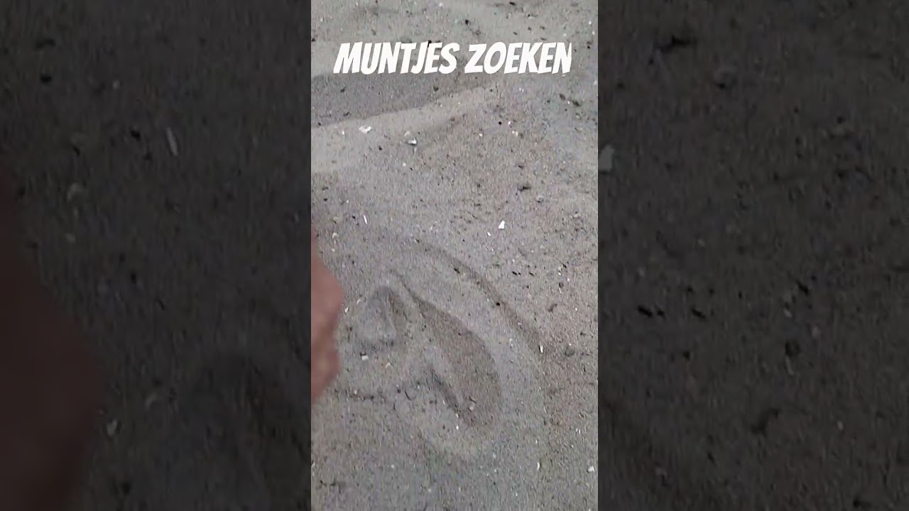 muntjes zoeken met een metaaldetector #metaaldetectie